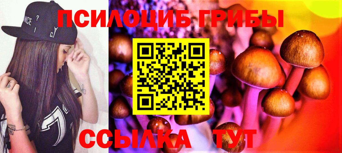 Псилоцибиновые грибы ЛСД Тимашёвск