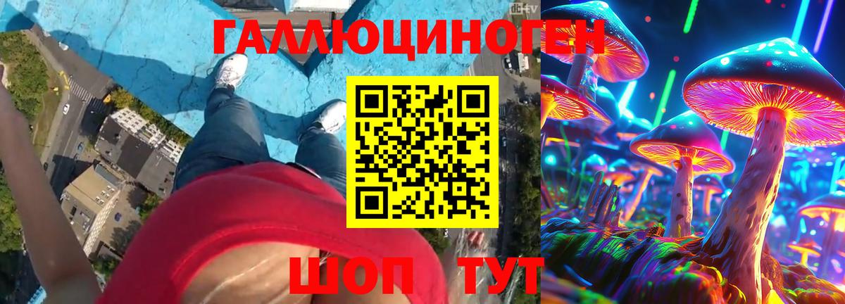 Тимашёвск  Галлюциногенные грибы ЛСД  Вход с VPN 